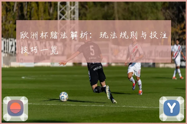 欧洲杯赌法解析:玩法规则与投注技巧一览