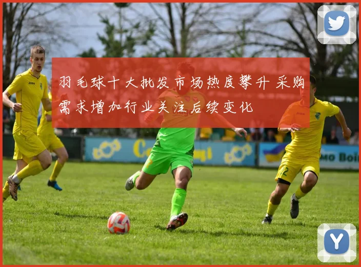 羽毛球十大批发市场热度攀升 采购需求增加行业关注后续变化